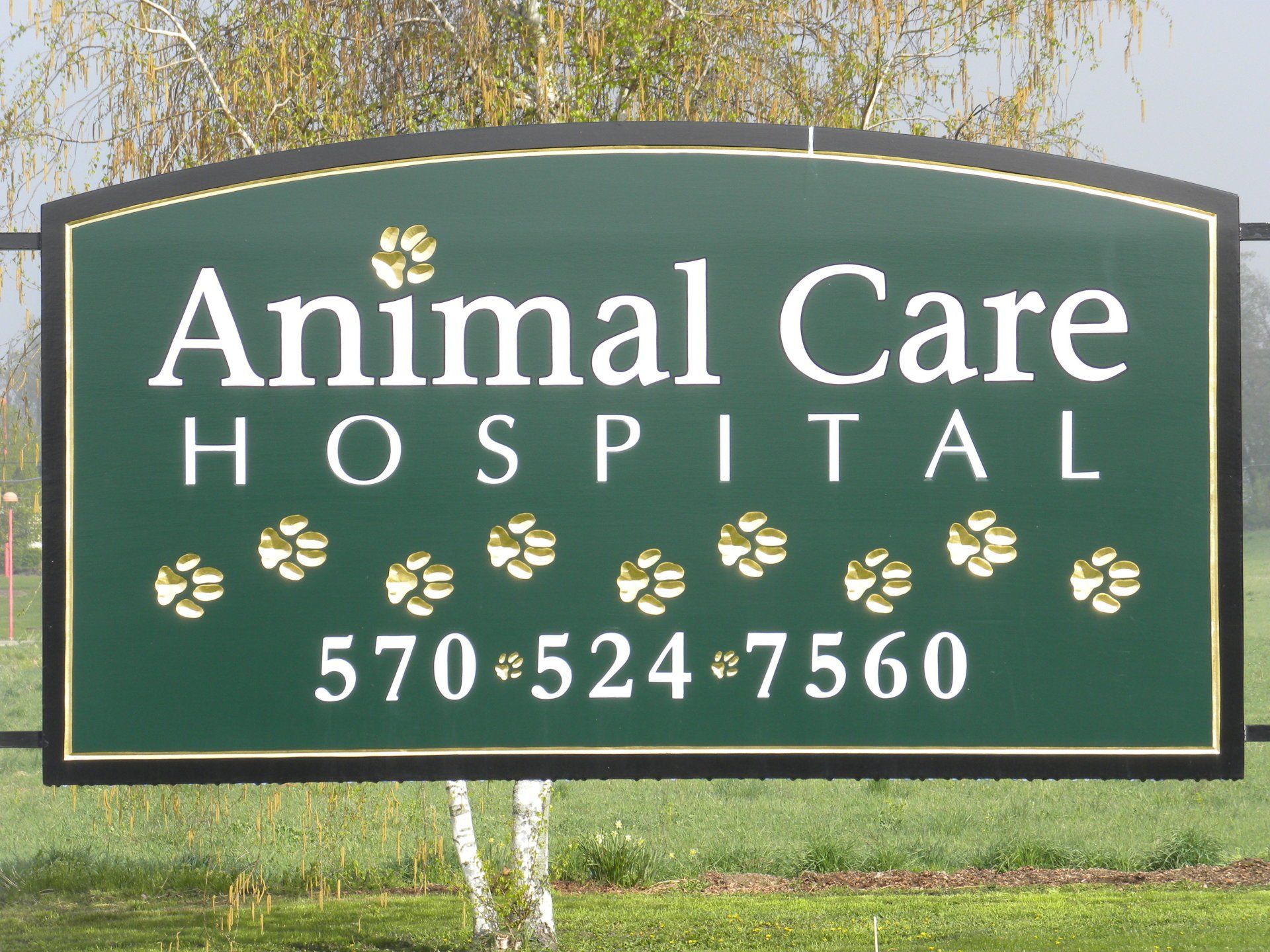 Veterinarian with patient at Animal Care Hospital Lewisburg PA